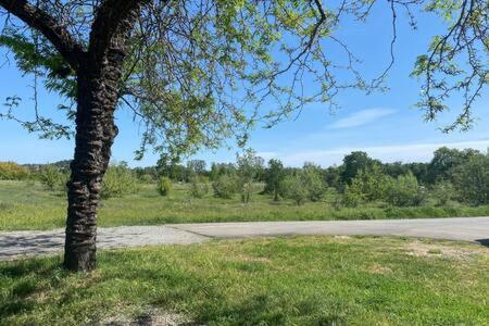 Country Charmer Single Story Cottage Pet Friendly Loomis Luaran gambar
